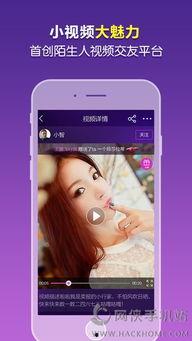 蜜桃TV永久地址久久久,揭秘久久久平台的魅力所在